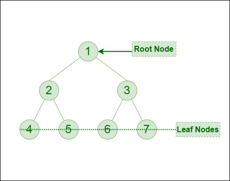 Binary Tree